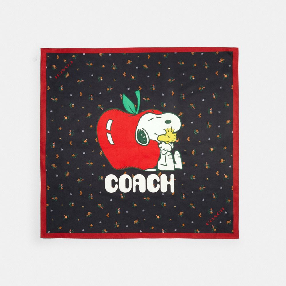 最安 新品 Coach X スヌーピーシルクバンダナ Peanuts バンダナ スカーフ Williamsav Com