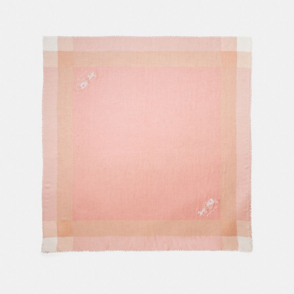 WINDOWPANE CHALLIS - BLUSH - COACH 54230