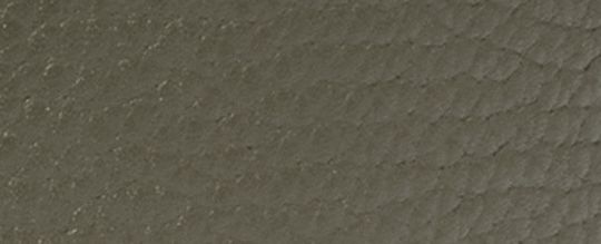 馬具扣環腰帶，38毫米，可雙面使用、長度自由裁剪