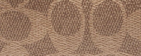HADLEY HOBO 21 經典SIGNATURE 塗層帆布印花斜背手袋