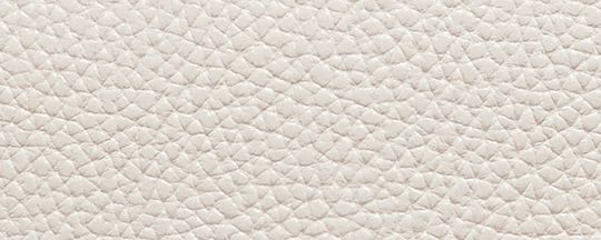 【官網限定】CASSIE 19 斜背手袋