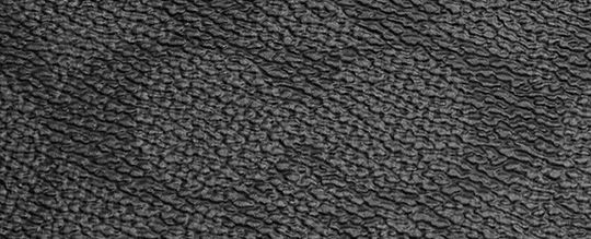 經典 SIGNATURE 塗層帆布卡夾