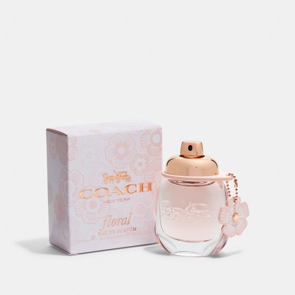 coach perfume notes