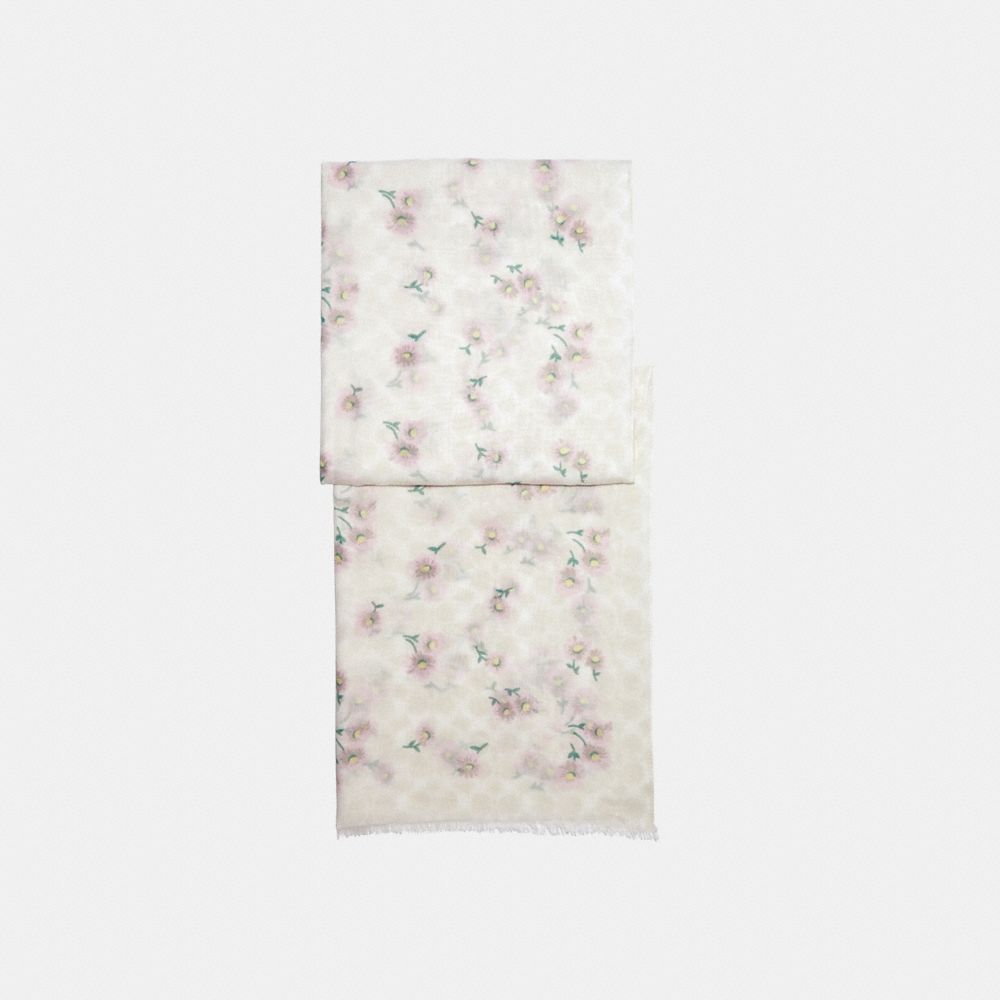 COACH C2488 Signature Daisy Print Oblong Scarf CHALK/PINK