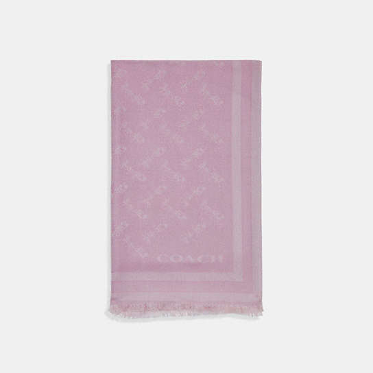 C2501 - Horse And Carriage Print Jacquard Stole Candy Pink