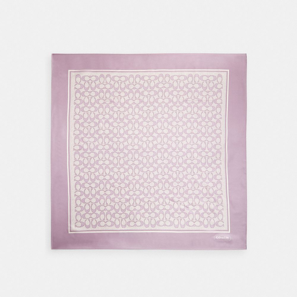 바디 메인컬러:위스테리아