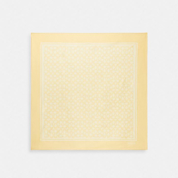 經典 SIGNATURE 復古印花真絲方巾