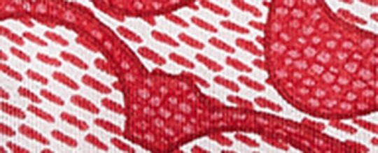 復古經典 SIGNATURE 印花真絲窄版圍巾