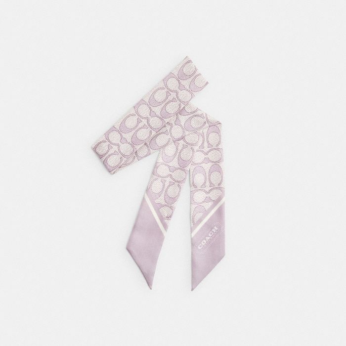TEXTURED SIGNATURE PRINT SILK SKINNY SCARF
