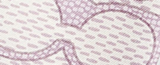 經典 SIGNATURE 復古印花真絲窄圍巾