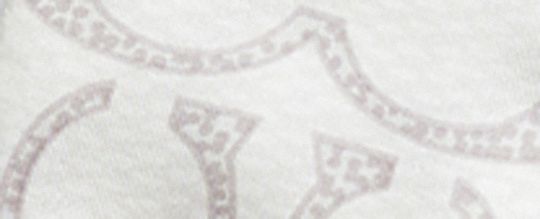 復古經典 SIGNATURE 印花真絲窄版圍巾