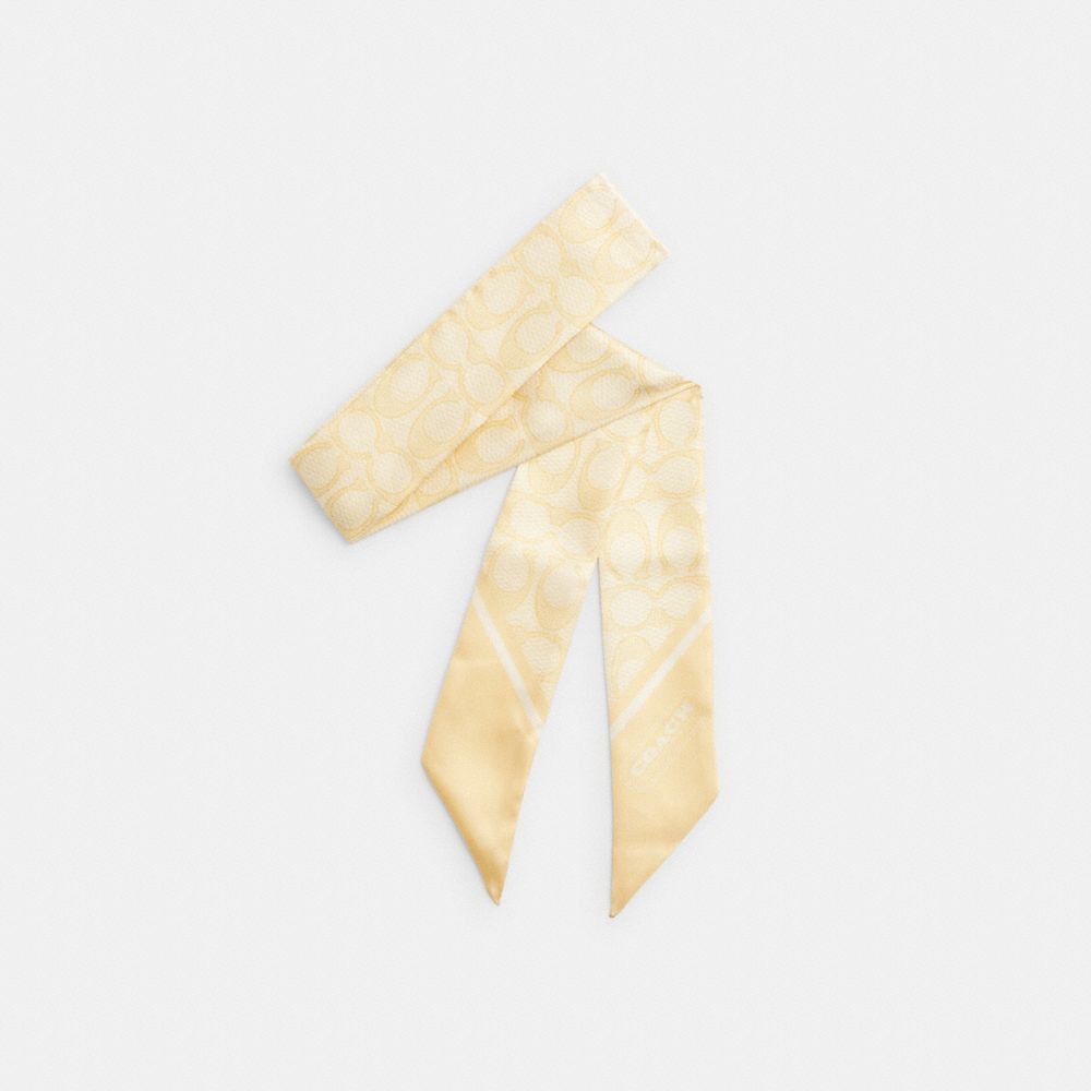 바디 메인컬러: 선라이트