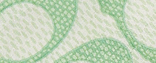 復古經典 SIGNATURE 印花真絲窄版圍巾