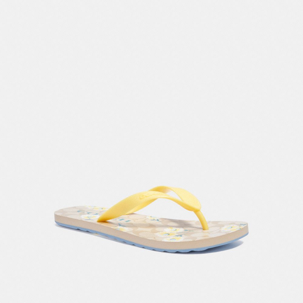 COACH ZAK FLIP FLOP WITH SIGNATURE DAISY PRINT - LIGHT KHAKI - C3038