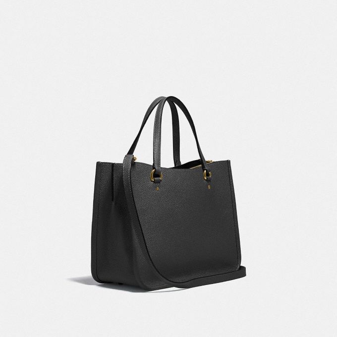 COACH Official Site Official page | TYLER CARRYALL 28