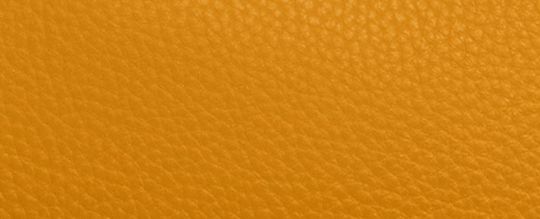 WILLOW BUCKET BAG IN COLORBLOCK