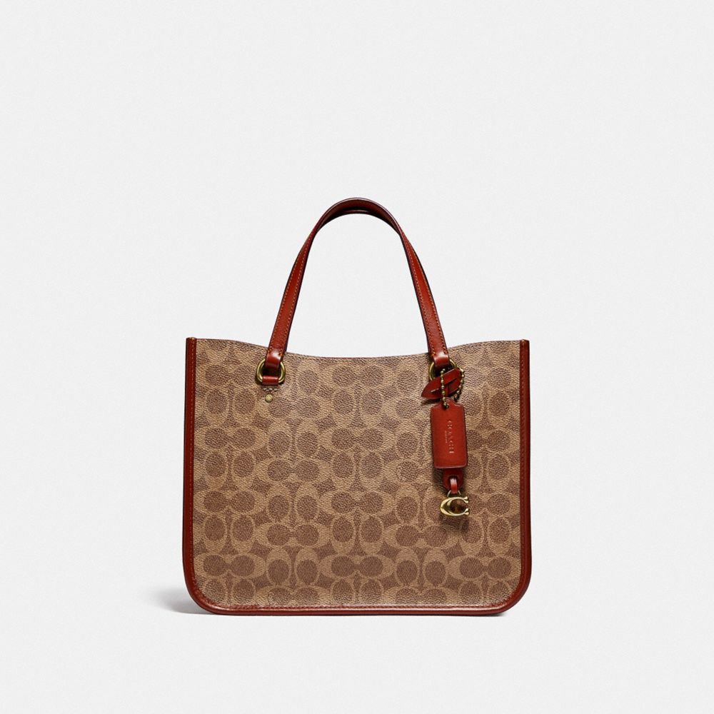 TYLER CARRYALL 28 IN SIGNATURE CANVAS