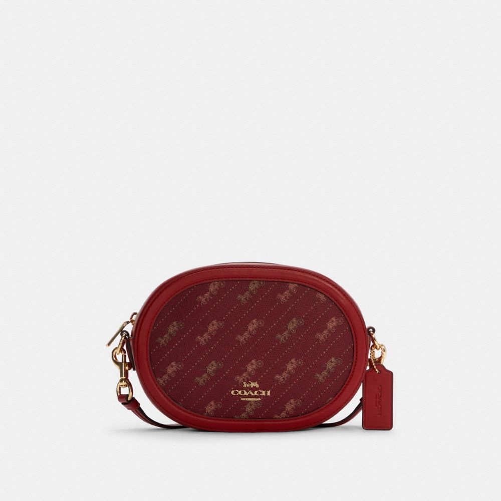 Camera Bag With Horse And Carriage Dot Print - C4057 - GOLD/1941 RED