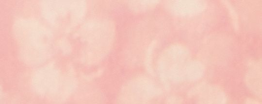 PARTY TOP-Pink/White