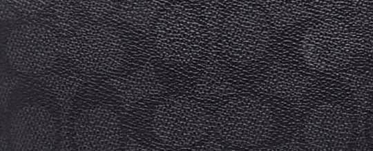 經典 SIGNATURE帆布GOTHAM後背包