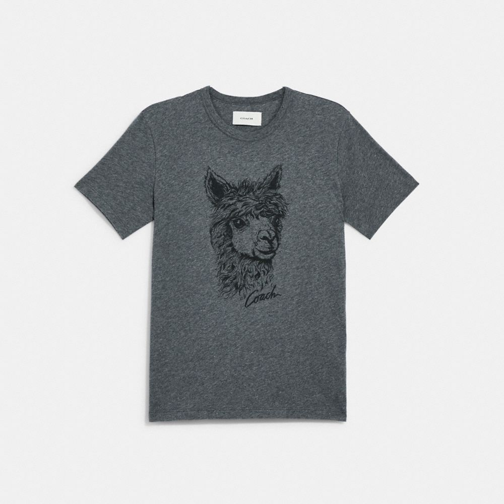 Alpaca Graphic T-Shirt