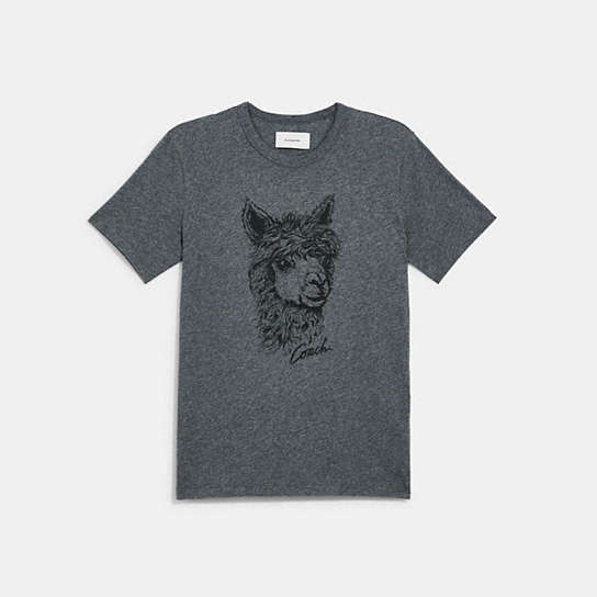 C5523 - Alpaca Graphic T Shirt Medium Grey Melange