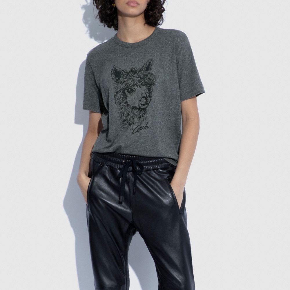 ALPACA GRAPHIC T-SHIRT