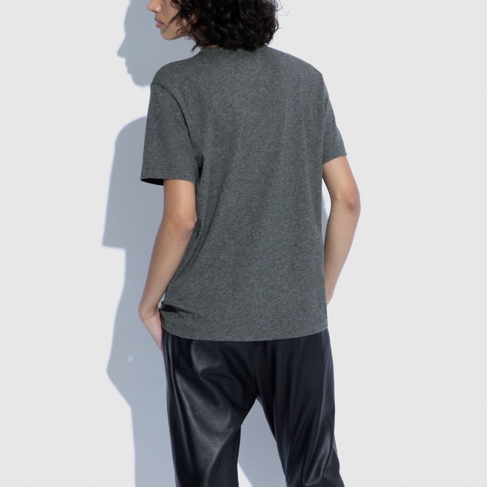 ALPACA GRAPHIC T-SHIRT