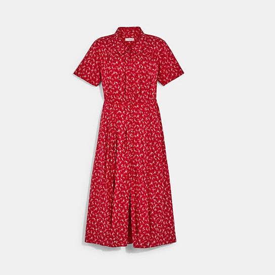 C6051 - 1930's Dress Red/Beige