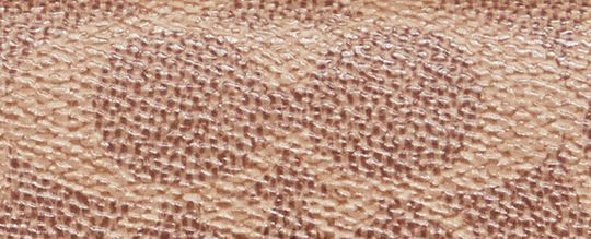 STUDIO 經典 SIGNATURE 帆布中型皮夾