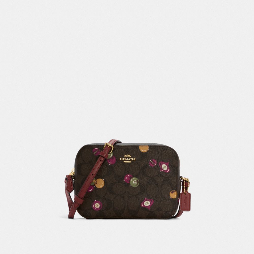 Mini Camera Bag In Signature Canvas With Ornament Print - C6904 - GOLD/BROWN BLACK MULTI