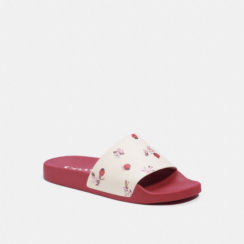 COACH Uli Sport Slide With Ladybug Floral Print - CHALK/RED - C7676