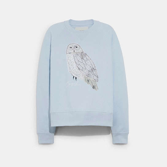 C7910 - Owl Sweatshirt In Organic Cotton Pastel Blue