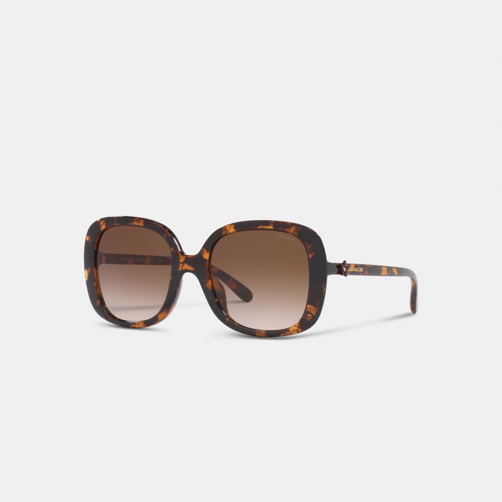 COACH C8002 Wildflower Square Sunglasses DARK TORTOISE