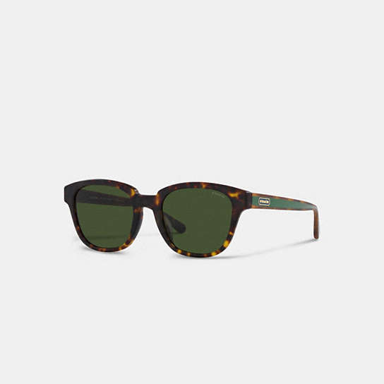 C8003 - Badge Round Wayfarer Sunglasses MATTE DARK TORTOISE