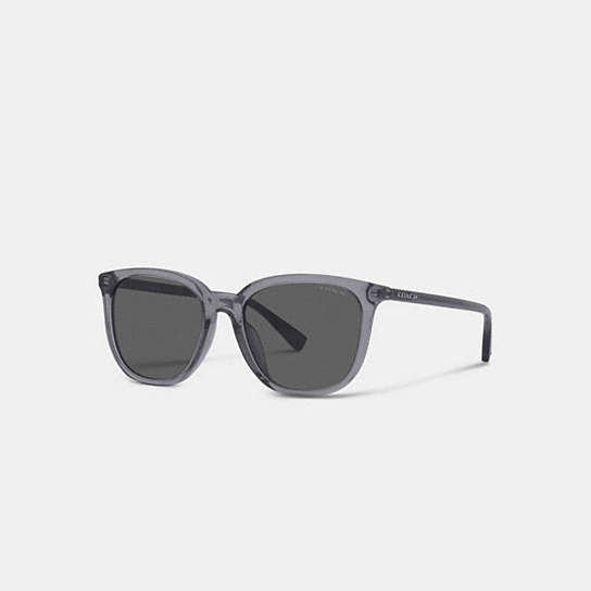 C8006 - Signature Round Wayfarer Sunglasses Clear/ Blue