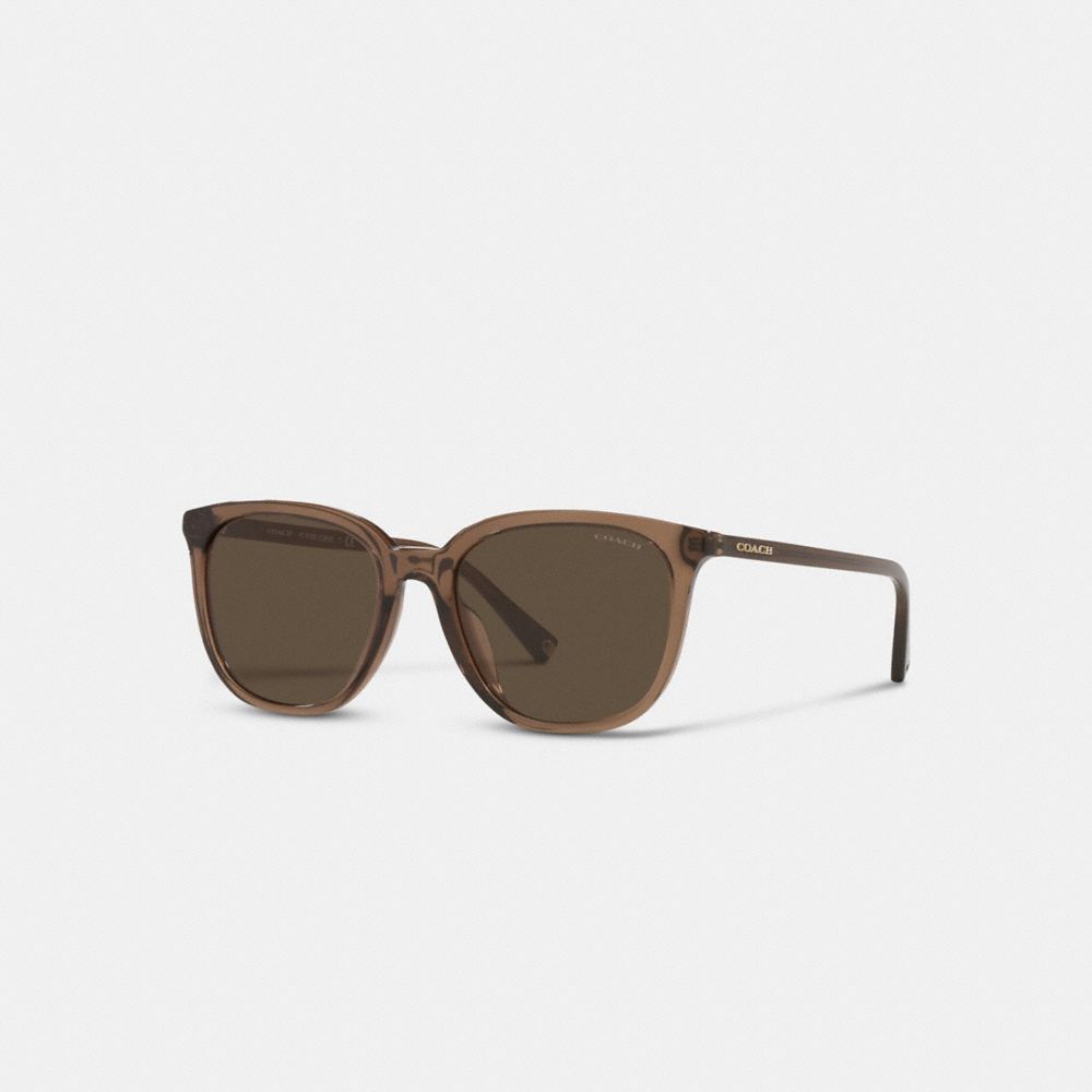 COACH C8006 Signature Round Wayfarer Sunglasses Clear/ Blue