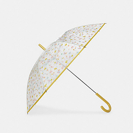 COACH Clear Bubble Umbrella In Mystical Floral Print - CLEAR MULTI - C8247