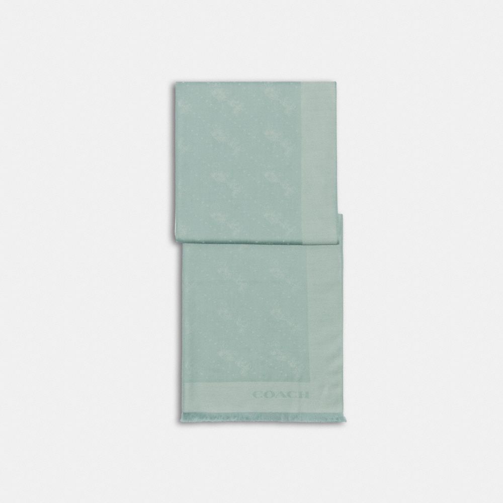 Horse And Carriage Dot Print Wrap - C8367 - Light Teal