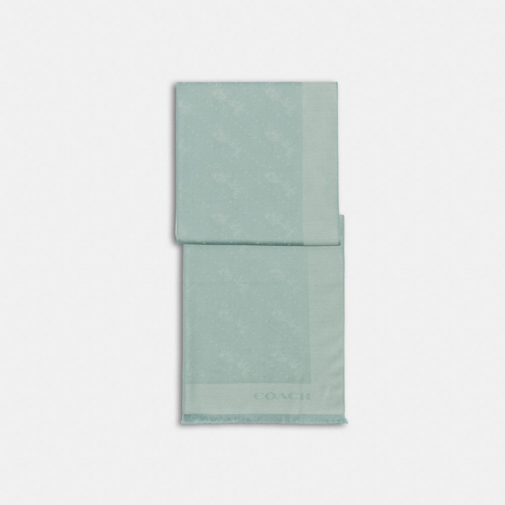 Horse And Carriage Dot Print Wrap - C8367 - LIGHT TEAL