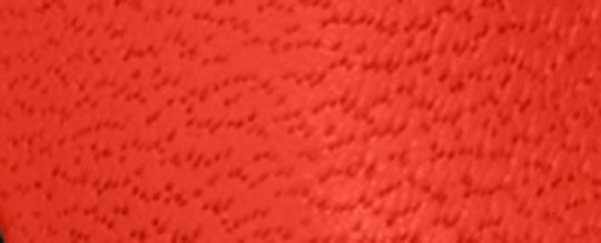 經典 SIGNATURE 鑰匙圈