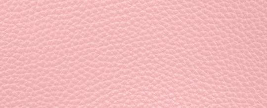 WILLOW 24 撞色設計托特手袋