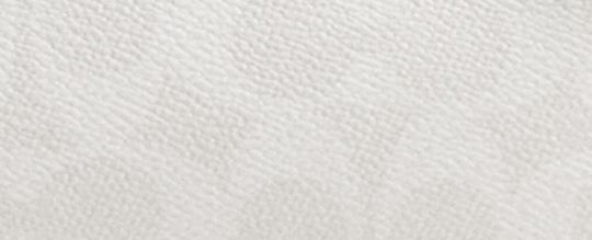 WILLOW 24 經典 SIGNATURE 帆布托特手袋