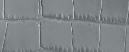 WILLOW 24 托特手袋