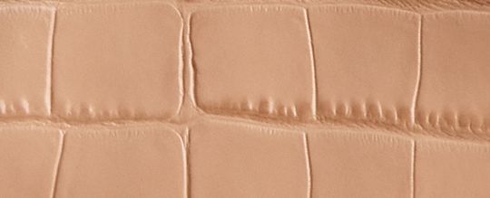 WILLOW 24 托特手袋