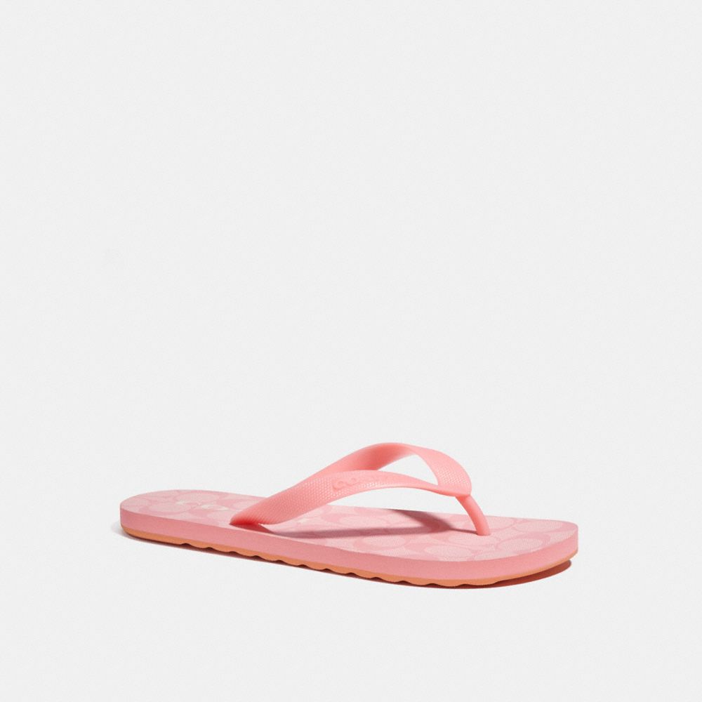 Zak Flip Flop - C8916 - TAFFY