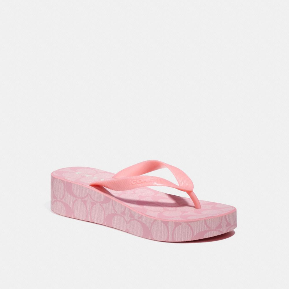 Lynn Flip Flop - C8917 - TAFFY