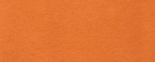 HORSE AND CARRIAGE HOODIE IN ORGANIC COTTON-PAPAYA