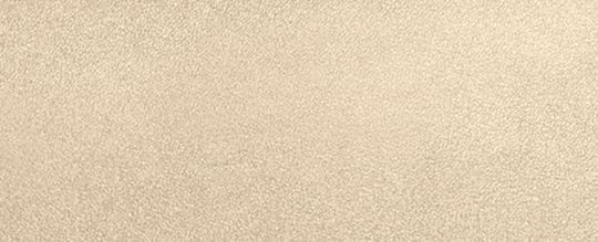 LEAGUE MESSENGER 手袋