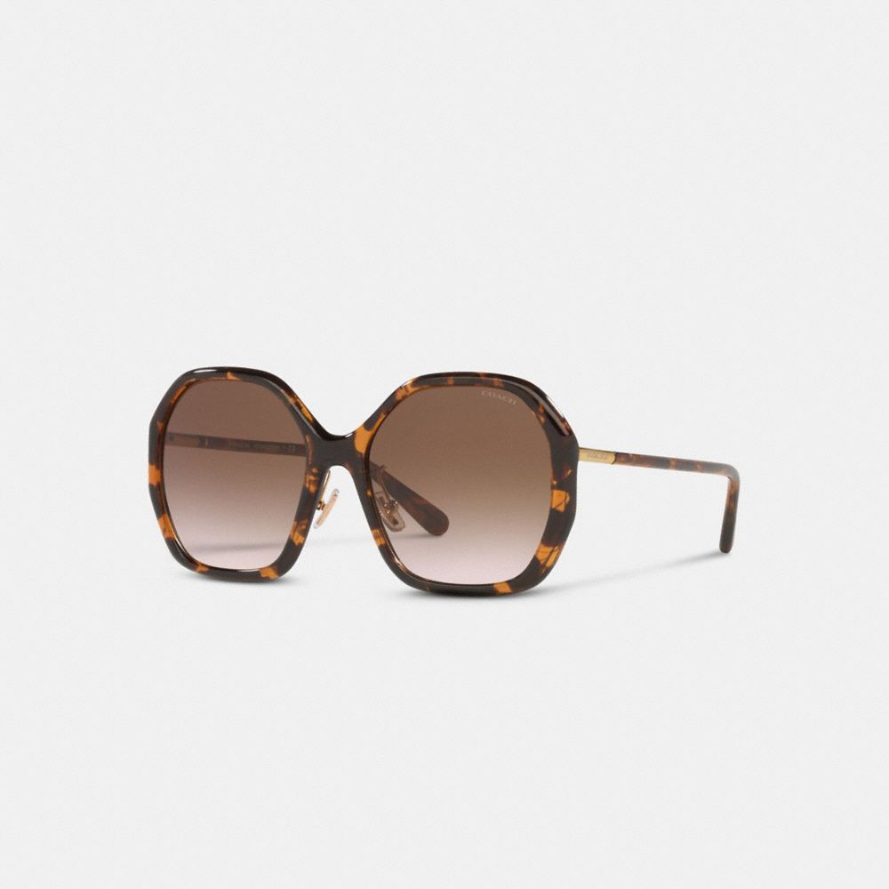 C9204 - Oversized Round Sunglasses Transparent Pink